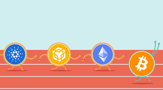 Los inversores institucionales apuestan contra el USDT: el cambio comercial de Bitcoin y Altcoin es bastante posible