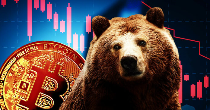 bear-market-research.jpg