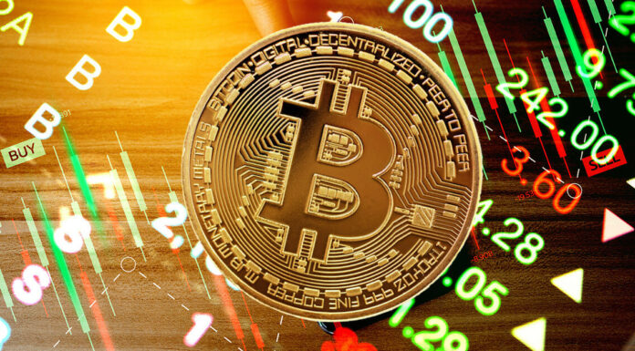 BTC se desempeñó mejor que ARKK, MSTR, COIN a pesar de la caída del 65% en 2022