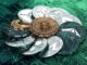 Monero sigue impresionando, pero el éxito de XMR, $ROE o XRP no es ningún secreto
