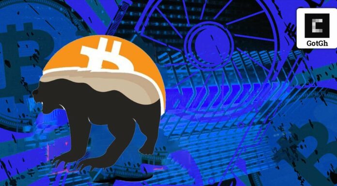 Exploración de opciones alternativas de minería a través de redes incentivadas de IoT: reunión de Gigahash #2