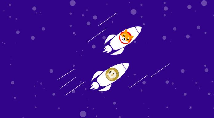 Shiba Inu (SHIB) tiene potencial para hacerse cargo de Dogecoin (DOGE) – He aquí por qué