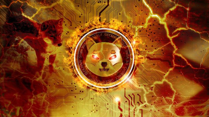shiba-inu-coin-6766779_1280.jpg