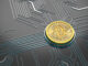 Valkyrie Investments busca más control de Grayscale Bitcoin Trust