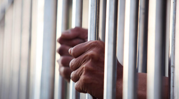 Avraham Eisenberg arrestado por criptoestafa en Mango Markets