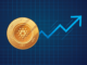 Aumento masivo de Cardano en el horizonte: el precio de ADA aumentará por encima de $ 0.75 en las próximas semanas