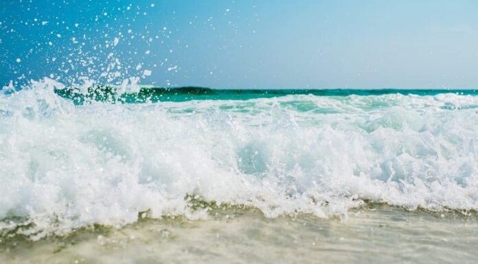 XRP vuelve a probar la zona de soporte: los alcistas pueden buscar ganancias aquí