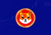 ¡Shiba Inu puede encontrar apoyo cerca de este nivel! Analista mapea posibles niveles inferiores para el precio SHIB