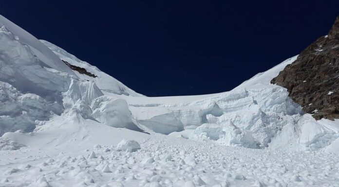 Avalanche impulsa las perspectivas de crecimiento: ¿influirá en la acción del precio de AVAX?