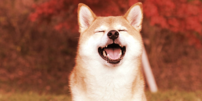 dogecoin-dog-meme-coins-tokens-gID_4.jpg@png.png