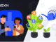 Hexn.io: Brindando servicios financieros en el mundo de los neo-nómadas