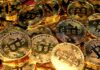 Bitcoin: ¿Será el interés institucional el salvador de BTC?