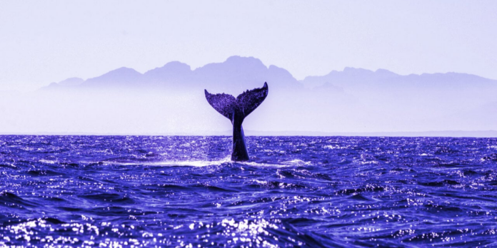 large-crypto-whale-gID_6.jpg@png.png