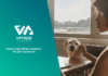 El mercado de la salud de las mascotas necesita soluciones tecnológicas: una entrevista con VetAPP