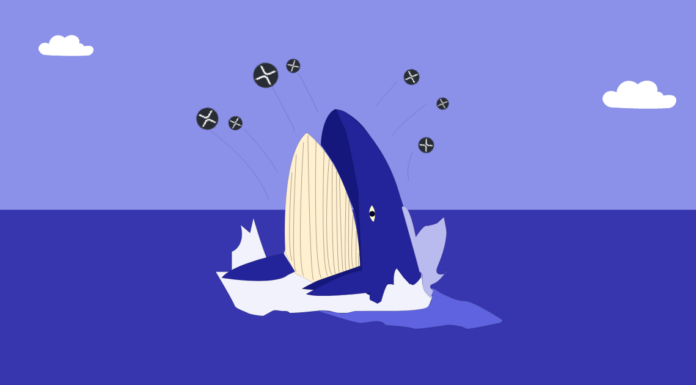 Crypto Whales descarga casi 100 tokens XRP, ¿qué sigue para el precio XRP?