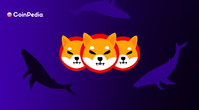 Ethereum Whales Hype Up Shiba Inu con Shibarium Launch On Horizon