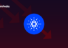 ¿Por qué Cardano es el peor actor? ¿Está muerto el bombo publicitario en torno al precio de la ADA?
