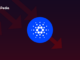 ¿Por qué Cardano es el peor actor? ¿Está muerto el bombo publicitario en torno al precio de la ADA?