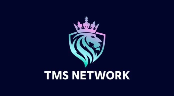 Los titulares de Conflux (CFX) y Shiba Inu (SHIB) deben saber esto antes de invertir en TMS Network (TMSN)