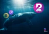 Predicción de precios de Bitcoin 2023, esta es la razón por la cual las ballenas están comprando Polygon (MATIC) y RenQ Finance (RENQ) en su lugar
