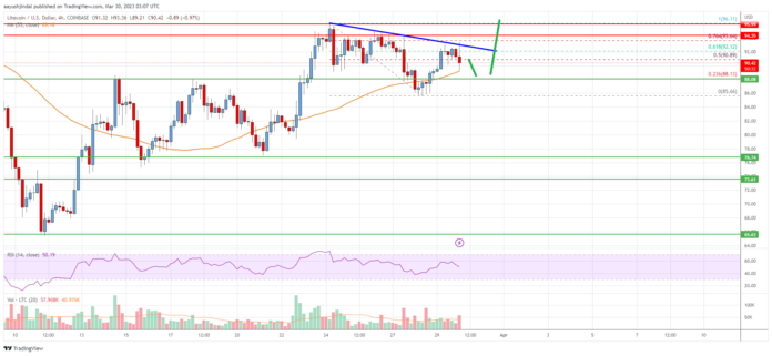 Litecoin-4.png