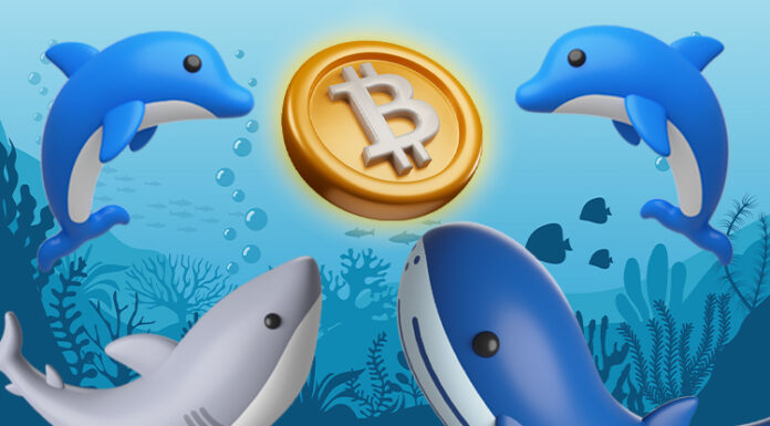Concentración de Bitcoin: el 61% está en manos de grandes jugadores