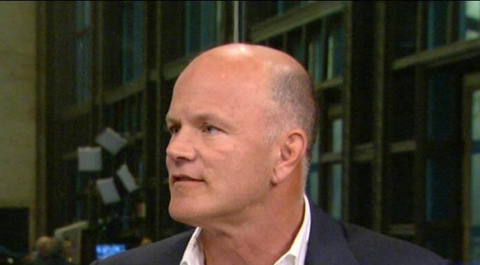 Mike Novogratz estará feliz si BTC alcanza los $ 30K al final del año
