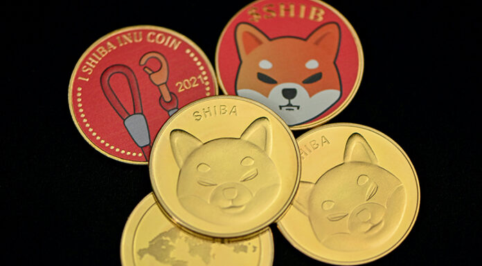 Shiba Inu: El lanzamiento del segundo nivel tendrá lugar esta semana