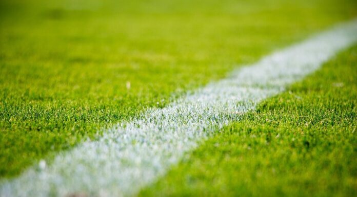 El Super Bowl de este año no presentó anuncios criptográficos