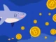 Las ballenas de Bitcoin se preparan: transfirieron 2000 BTC nuevamente: ¿qué sigue para el precio de BTC?