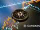 Cardano (ADA) está superando el ciclo bajista anterior, revela el CEO de ITC Crypto