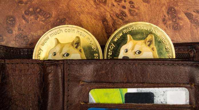 Dogecoin lidera el aumento del mercado de criptomonedas, con un aumento del 6 % en 24 horas