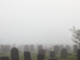 El explotador MEV ‘Sandwich the Ripper’ se une al cementerio de direcciones en la lista negra de Tether