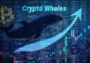 Los principales creadores de mercado comienzan a anhelar Bitcoin y Ethereum en los niveles actuales según Avorak AI