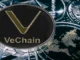 Próximas utilidades para DigiToads (TOADS), Algorand (ALGO) y VeChain (VET): una oportunidad para comprar barato y vender caro