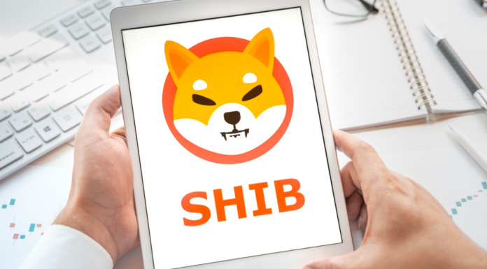 La preventa de Digitoads supera los $600k de recaudación. ¿Puede superar la popularidad y el crecimiento de Dogecoin y Shiba Inu en 2021?