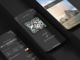 Lightspark de David Marcus presenta la plataforma Bitcoin Lightning para empresas