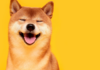 Esta semana en Crypto Twitter: Musk se llena de Dogecoin, bombeando el Memecoin