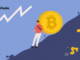 Crypto Analyst advierte sobre la inminente caída del mercado: aquí es cuando los comerciantes pueden esperar