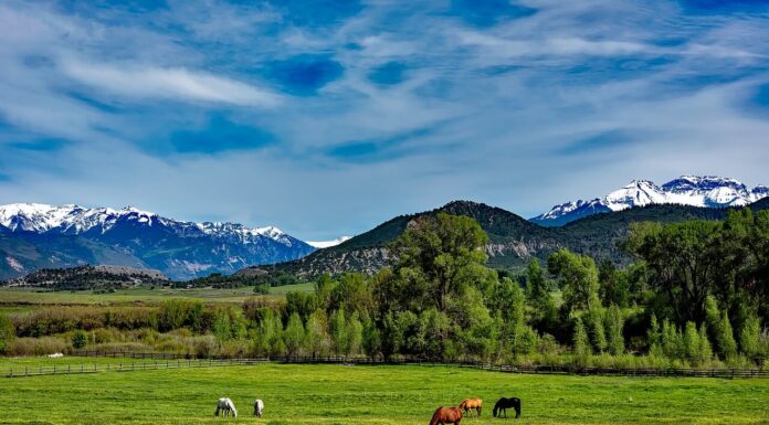Crypto Conference ETH Denver Ocurrió a principios de marzo