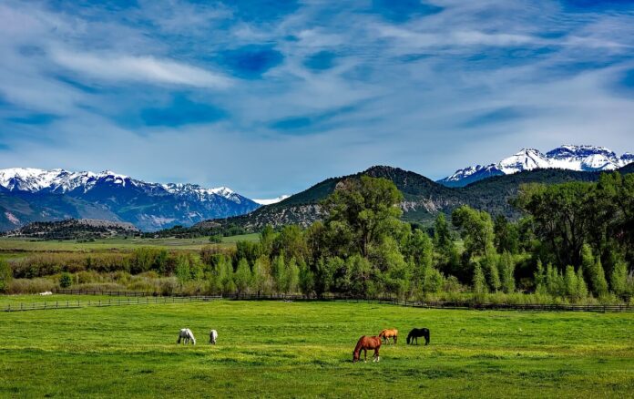 colorado-1680631_1280.jpg