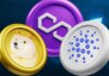 El analista dice a dónde va el precio de Dogecoin, Cardano y MATIC