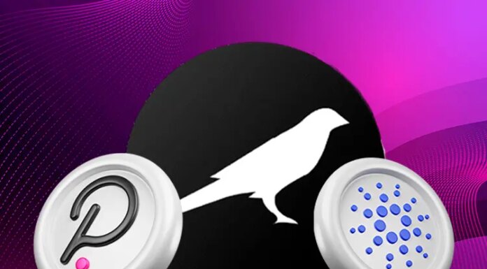 Consulta las criptomonedas con los desarrolladores más activos