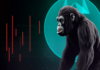 Qué esperar del próximo crack de ApeCoin en su nivel de soporte
