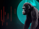 Qué esperar del próximo crack de ApeCoin en su nivel de soporte
