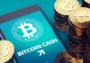 Los analistas piensan que DigiToads (TOADS) Binance Coin (BNB) y Bitcoin Cash (BCH) podrían ser las mejores inversiones de 2023