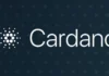 Dogecoin y Cardano (ADA) Whale nadan hacia HedgeUp con una ganancia de $ 200 millones