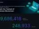 Guía para principiantes de Venom TestNet: perspectiva del desarrollador