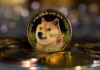 Meme Tokens y NFT se apoderaron de Bitcoin, ahora está sucediendo en Dogecoin y Litecoin
