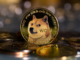 Meme Tokens y NFT se apoderaron de Bitcoin, ahora está sucediendo en Dogecoin y Litecoin